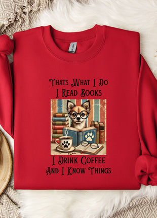 A red sweater with a printed design of a dog reading a book and surrounded by various objects, including a mug, a snowflake, and a branch with cotton balls.